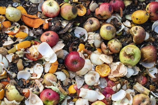 🥭 India’s Food Waste Crisis: Why It’s Bigger Than We Think!