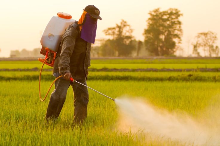 🧪 What’s Really in Our Food? Understanding the Chemical Load We Consume Daily