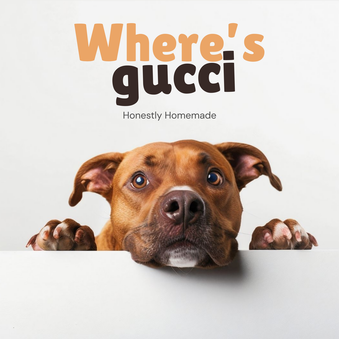 Gucci's Chicken Bowl 300g - Homemade Pet Food