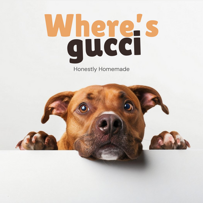 Gucci's Chicken Bowl 300g - Homemade Pet Food